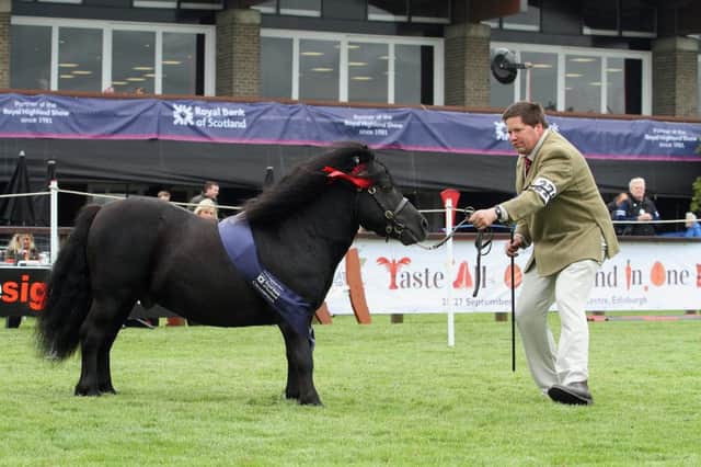 Harry Sleigh with his champion Shetland Pony at last year's Royal Highland Show.