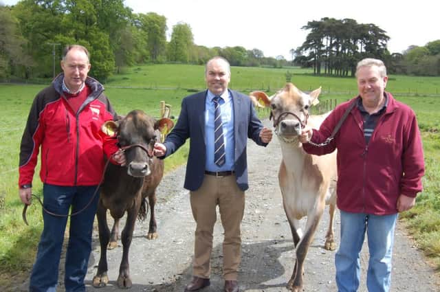 Jersey breeders Ashley Fleming (left) and Mark Logan (right) discussing plans for the upcoming Jersey Bureau event in Northern Ireland with United Feeds' Clarence Calderwood