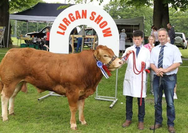 James McParland and James McParland junior with the Lim Junior Young Bull at Lurgan show