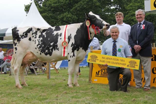 Lurgan Show qualifier for the 2016 McLarnon Feeds/NISA Dairy Cow Championship was Glasson Shottle JG Gail EX91, exhibited by Simon Haffey, Portadown.  Included are judge William Crawford, Brookeborough, and Harold Stevenson, McLarnon Feeds.