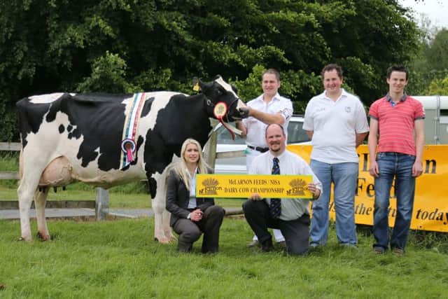 David, Timothy and Aaron Haffey, Lurgan, with Kilvergan Duplex Ethel 2 EX94(3), first Armagh qualifier for the 2016 McLarnon Feeds/NISA Dairy Cow Championship.   Congratulating the brothers on their success are Michael Copeland (McLarnon Feeds) and Izzy Whittaker (judge).