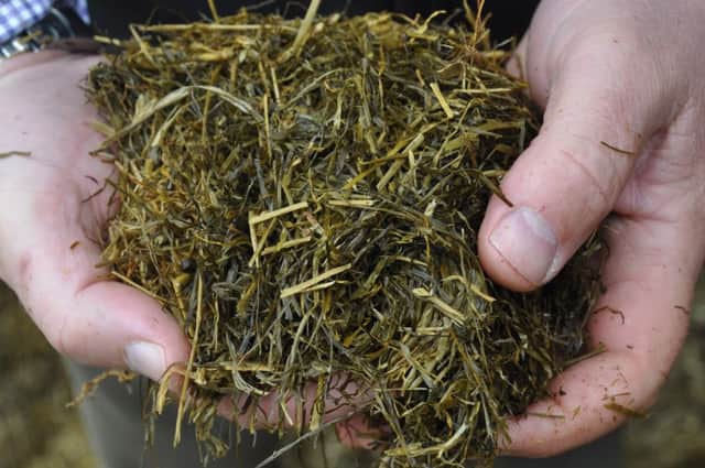 With the drive to maximise the use of home-grown forage its important to maximise silage consistency