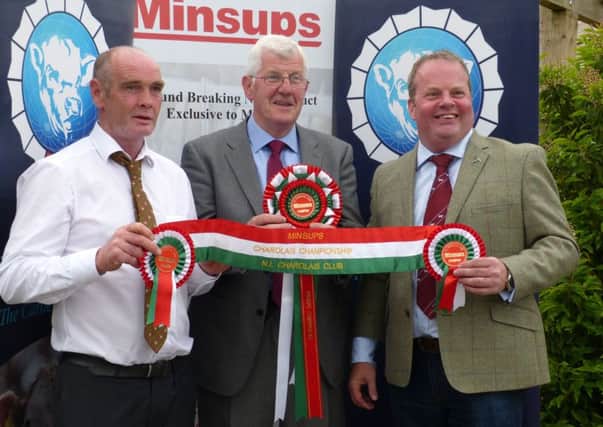 MINSUPS Rep Tommy McKenna with Harrison Boyd Livestock Chairman Clogher Show with David Connolly Chairman NI Charolais Club rolling pout NI MINSUPS Charolais Championship