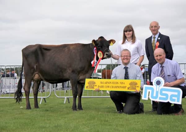 Judge James Eccles, Ballymena, with Sarah Doupe who exhibited the Jersey Champion and second Saintfield qualifier, Clandeboye Tequila Cookie VG87, from the Clandeboye Herd, Bangor.  Looking on are Ronald Annett, McLarnon Feeds, and Robert Dick, NISA.