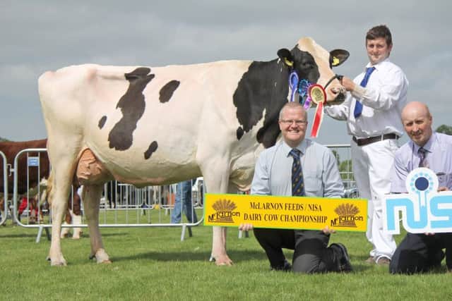 David Dodd, Saintfield, with Glenbrae Gerard Doris VG86, Holstein Champion and first qualifier for the 2016 McLarnon Feeds/NISA Dairy Cow Championship at Saintfield.  Congratulating David on his success is Ronald Annett, McLarnon Feeds, and Robert Dick, NISA