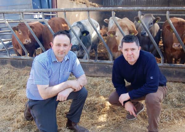 Colin McKee (left) discussing this year's cattle worming strategy with Elanco's Eugene Smyth