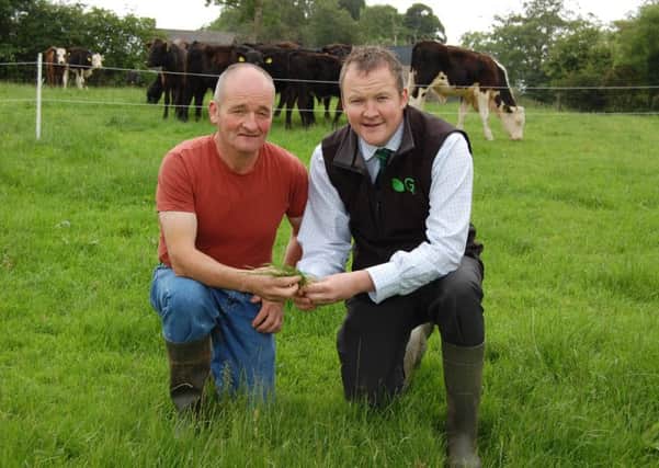 Keady beef producer Larry Nugent (left) discusses his grassland re-seeding programme with Germinal NI's David Little