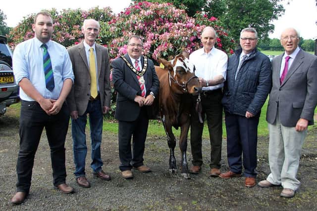 Jonathan Smyth, Fane Valley,  Trevor Smyth Antrim show director, John Scott, Antrim and Newtownabbey Mayor, John Hunter,  Antrim Show Director,  Michael Graham, John Thompson and sons,  Fred Duncan Show Chairman ... Dairy Section sponsors at the Antrim Launch.
