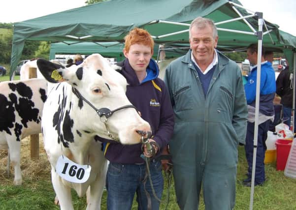 Getting ready for the Holstein classes at Newry Show: Stuart Dunlop, Banbridge and John Stewart, Banbridge