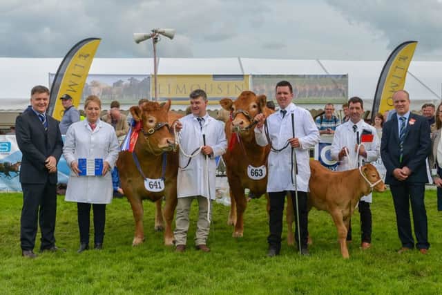 Overall Champion and Reserve with Judge Sponsors and Iain Kerr