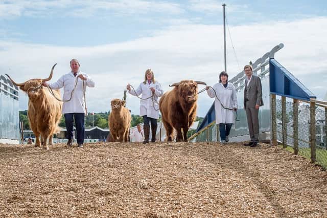 Bell Ingram Design have completed a new 'fly over' to solve an access problem between livestock and people visiting the Royal Highland Show. Picture: Wullie Marr/DEADLINE NEWS