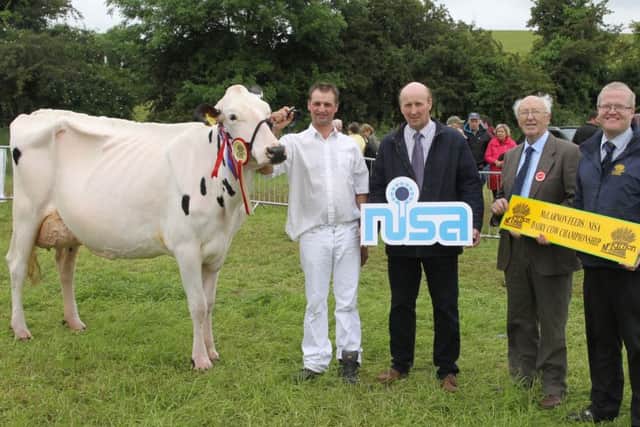 Judge Fred Duncan selected Ortongrange Snowman Alysia VG89, owned and exhibited by Stephen Robinson, Crossgar, as the first Newry qualifier for the 2016 McLarnon Feeds/NISA Dairy Cow Championship.  Joining the congratulations are Robert Dick (NISA) and Ronald Annett (McLarnon Feeds).