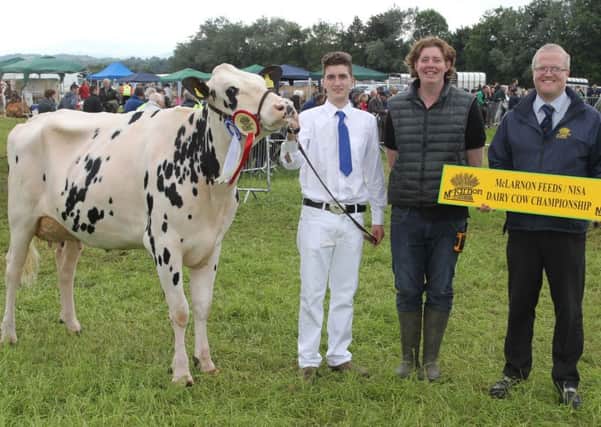 Ronald Annett, McLarnon Feeds, congratulates handler Dessie McCorry, and owner Kyle Henry, with the second Newry qualifier, Wiltor Day Cherry VG87, from the Henry Familys Horizon Herd, Armagh.