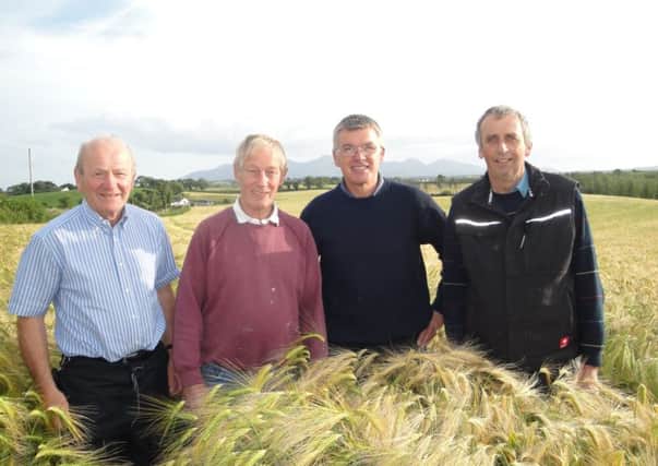 Winners of the UFU Winter Barley competition this year are share farmers Allan Chambers and Neill Patterson. Pictured in the winning field is L-R: Raymond Hilman, judging on behalf of sponsor Syngenta with winner Allan Chambers, and fellow judges Charlie Kilpatrick and Tom Merron.