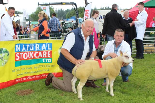 David Brown and Mark Latimer of the Brownville Flock with their class winning Ram Lamb born after 1st March, 2016 at last months Irish Beltex Sheep Breeders Clubs National Show staged at the Armagh County Show in Gosford Park, Markethilll