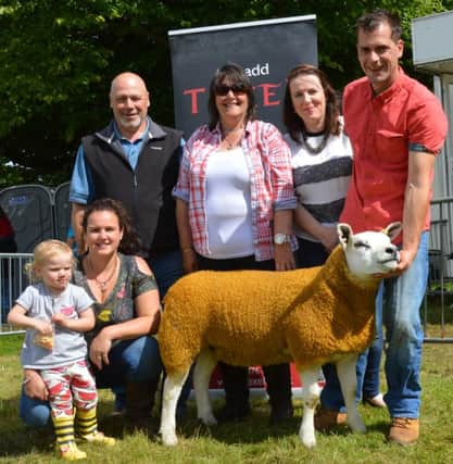 Herdman family will be hosting the Texel Stockjudging and Charity Auction Event at their family farm on Saturday, August 6