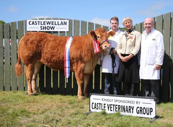Larry and Ryan Crily, champion Limousin, with Teleri Thomas at the Castlewellan Show