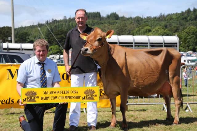 Phillip Donaldson, McLarnon Feeds, congratulates Ashley Fleming, Seaforde, on claiming the second qualifying place at Castlewellan Show with Potterswalls BS Glamour VG89.