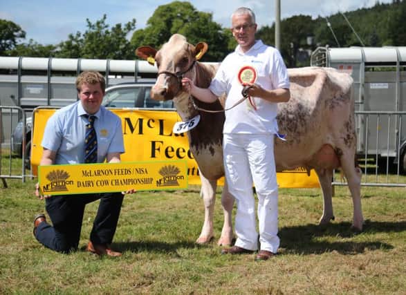 Sunrise Ipod Jenna VG89, owned by Ashley Fleming, Seaforde, and exhibited by John Henning, was the first of the Castlewellan qualifiers for the 2016 McLarnon Feeds/NISA Dairy Cow Championship.  Congratulating John on his success is Phillip Donaldson, McLarnon Feeds