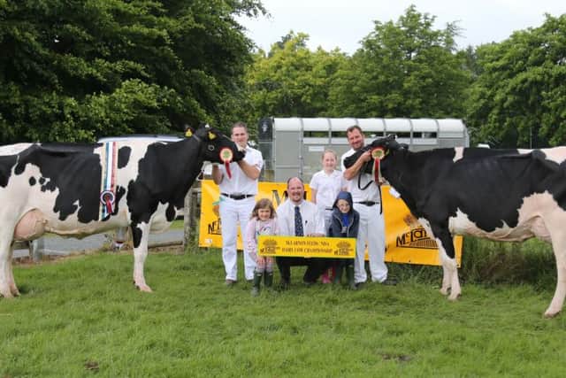The two qualifiers from Armagh Show were Kilvergan Duplex Ethel 2 EX94, exhibited by David Haffey, Lurgan, and Glasson Denzel Flo VG89, from Jason Pollock, Portadown, assisted by Sophie, Grace and Alfie. Looking on is Michael Copeland (McLarnon Feeds).