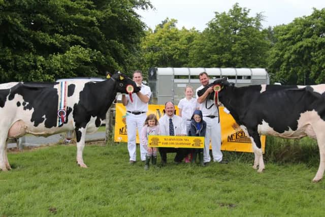 The two qualifiers from Armagh Show were Kilvergan Duplex Ethel 2 EX94, exhibited by David Haffey, Lurgan, and Glasson Denzel Flo VG89, from Jason Pollock, Portadown, assisted by Sophie, Grace and Alfie.  Looking on is Michael Copeland (McLarnon Feeds).