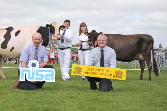 Robert Dick (NISA Chairman) and Ronald Annett (McLarnon Feeds) congratulate David Dodd, Saintfield, with Glenbrae Gerard Doris VG86, and Sarah Doupe, Clandeboye Estate Bangor, with Clandeboye Tequila Cookie VG87, on securing qualification at Saintfield Show.