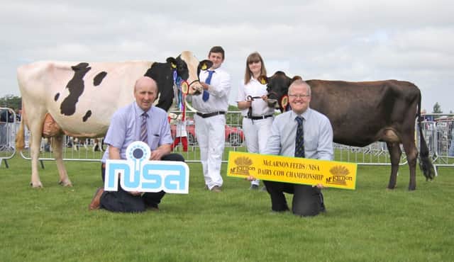 Robert Dick (NISA Chairman) and Ronald Annett (McLarnon Feeds) congratulate David Dodd, Saintfield, with Glenbrae Gerard Doris VG86, and Sarah Doupe, Clandeboye Estate Bangor, with Clandeboye Tequila Cookie VG87, on securing qualification at Saintfield Show.