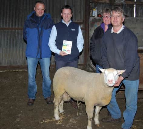 Attending the recent sheep lameness workshop on the Carrickfergus farm of Edward Adamson: l to r John McBroom, Doagh; Tommy Armstrong, Provita; Rose Hoy, Doagh and Edward Adamson, host.