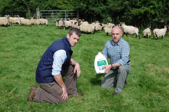 Provita's Kieran Donnelly (left)  out on farm earlier this week with Colin McEldowney