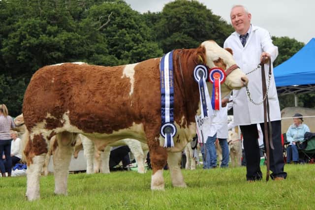 Robert Forde, Tempo, with his Simmental bull Mullyknock Gallant, winner of the interbreed beef bull stakes, and the Bank of Ireland/NISA beef bull championship at Antrim Show. Picture: Julie Hazelton