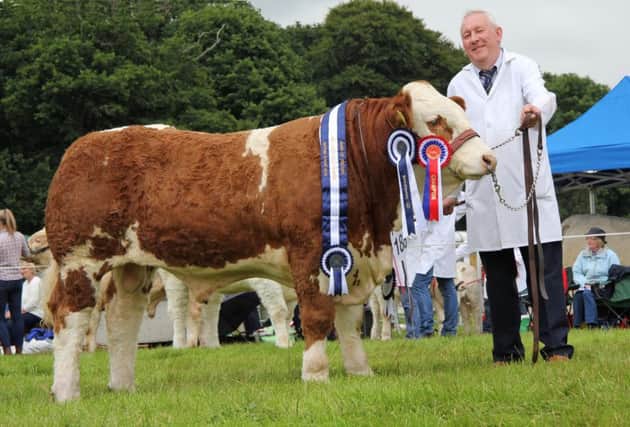Robert Forde, Tempo, with his Simmental bull Mullyknock Gallant, winner of the interbreed beef bull stakes, and the Bank of Ireland/NISA beef bull championship at Antrim Show. Picture: Julie Hazelton