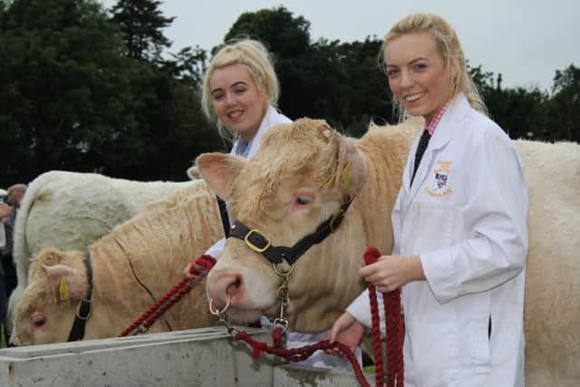 The McGovern sisters from Clogher with their Charolais bulls at Antrim Show. Picture: Julie Hazelton