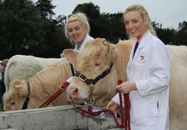The McGovern sisters from Clogher with their Charolais bulls at Antrim Show. Picture: Julie Hazelton