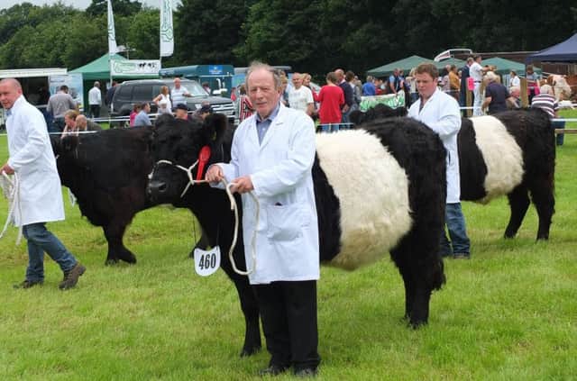 Laurence O'Neill, Martinstown, Ballymena, with the overall champion. In the background is Dessy Henry, Cloughmills and Colm O'Neill Martinstown