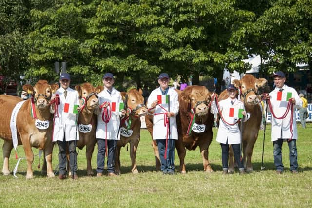 Limousin - Team of five champions