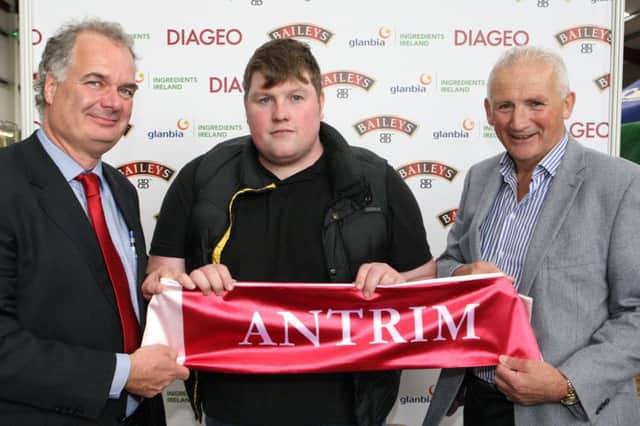 Pictured at the 2015 Diageo Baileys Champion Dairy Cow Competition at the Virginia Show, Co. Cavan is Conor McAufield from Antrim