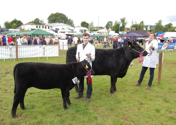 Brothers Fintan and Colm Keown, from Belleek in Co Fermanagh with their champion Angus Junior cow and March-born calf at Clogher Valley Show