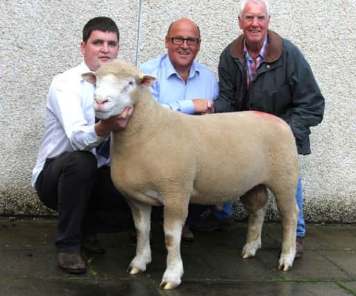 The 2000gns ram lamb with handler Samuel Caldwell, Breeder Raymond Hill and new owner Alex Steff