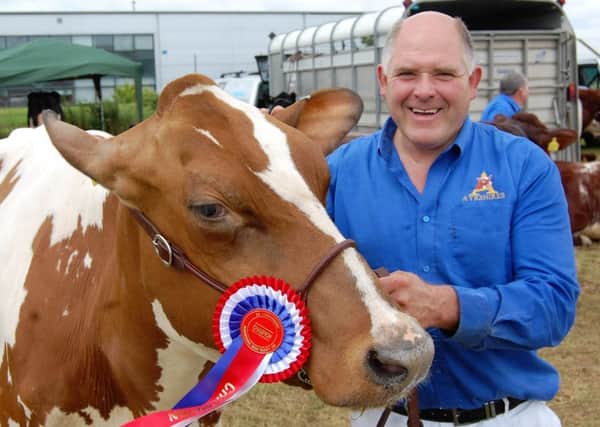 Iain Mclean, from Bushmills, with Marleycote Sea Lilly, the dairy champion at Limavady Show.