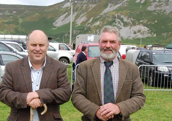 Seamus Fegan, from Hilltown and Frankie McCullough, from Castlewellan, judged the Blackface classes at this year's Glencolmcille Show.