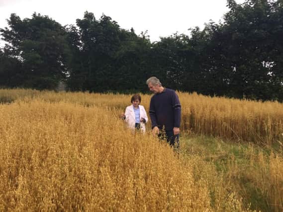 DUP MEP Diane Dodds discussing this years crop of oats with cereal farmer Robert Moore.