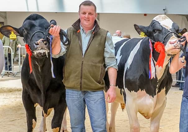 Pictured: Kevin Wilson from Cumbria who will be judging the 2016 Diageo Baileys Cow at Virginia Show Co. Cavan on 24th Aug.