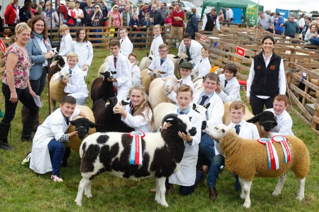 Pictured are all the qualifiers at the Zoetis sponsored Cydectin Young Handlers' Championship Final at Clogher Valley Show.. Alex Colhoun, Omagh, front left, was the winner while Ben Robinson, Ballmena, front right was the runner up.  Also included are Marjorie Blackburn, Chief Sheep Steward; Libby McAllister, Judge and Aurelie Moralis, Zoetis, Sponsor. Photograph: Columba O'Hare