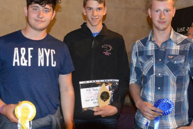 Aiden Casement, Andrew Blakely and Baillie OConnor receiving 1st, 2nd and 3rd respectively at the Templepark Texels Stockjudging Competition on William and James Herdmans Farm Dromore.