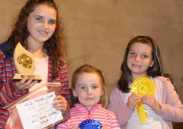 Ellen, Lucie and Anna Tumelty who took 1st, 2nd and 3rd places in the Under 12 category at the Texel Stockjudging Competition at William and James Herdmans Farm in Dromore.