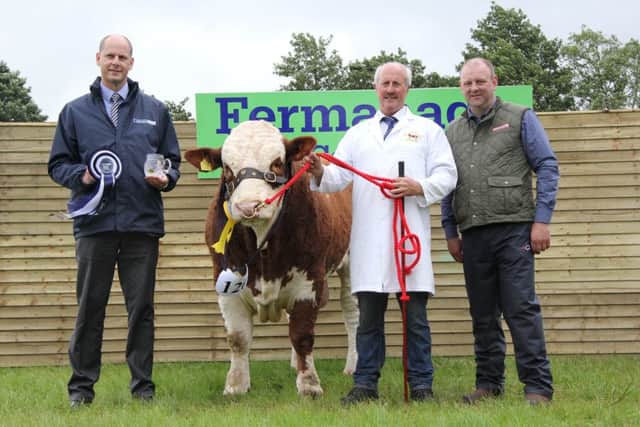 The Danske Bank reserve male of the year award was won by Bridgewater Farm Gilroy bred by Nigel Glasgow, Cookstown. Pictured at the presentation are sponsor Matthew Johnston; and NI Simmental Club chairman Matthew Cunning. Picture: Julie Hazelton