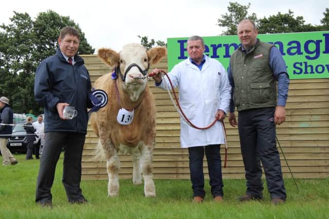 The Danske Bank reserve female of the year was Duncan McDowell's Castlemount Bianca 2. He was congratulated by sponsor Rodney Brown; and NI Simmental club chairman Matthew Cunning. Picture: Julie Hazelton