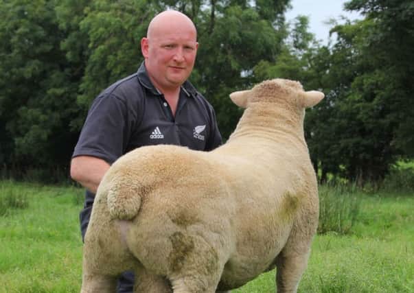 Malcolm with one of his poll dorset stock rams