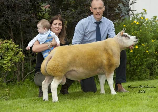 Selling 60,000gns was the shearling rams Topflite Al Pacino from Dumfries-based Grant and Gemma Anderson
