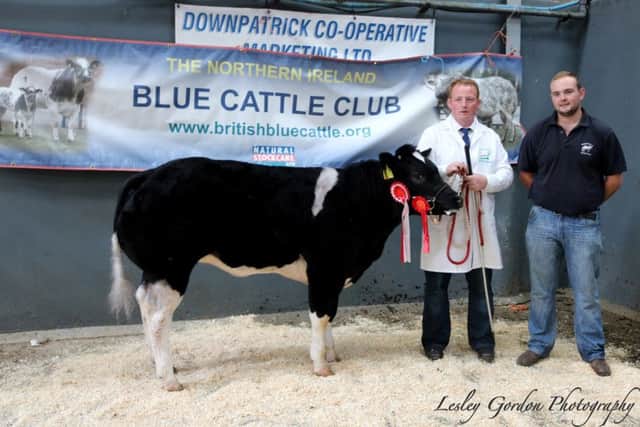 Female Champion Rostrevor Kate with Pascal McGinn and judge David Young